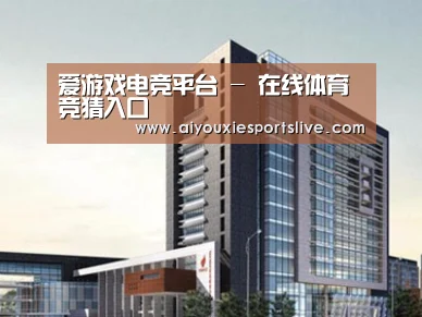 案例展示七