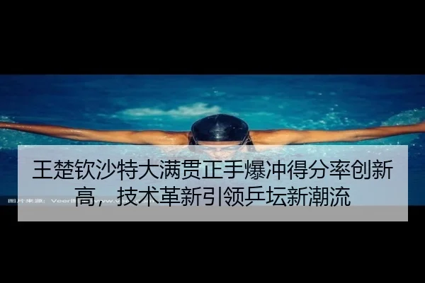wang-chu-qin-sha-te-da-man-guan-zheng-shou-bao-chong-de-fen-lv-chuang-xin-gao-ji-shu-ge-xin-yin-ling-ping-tan-xin-chao-3-359.jpg