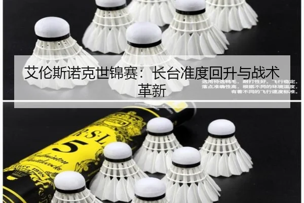 ai-lun-si-nuo-ke-shi-jin-sai-zhang-tai-zhun-du-hui-sheng-yu-zhan-shu-ge-xin-2-666.jpg